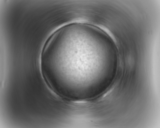 X0000088831343200706211808