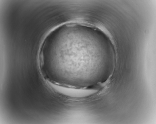 X0000088831344200706211808