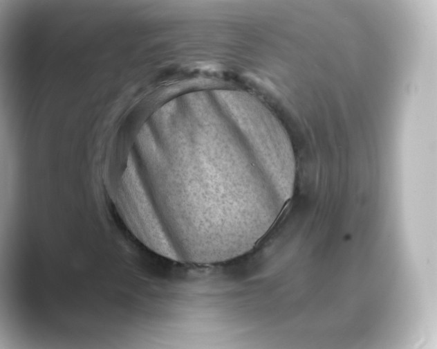 X0000088831345200706211807