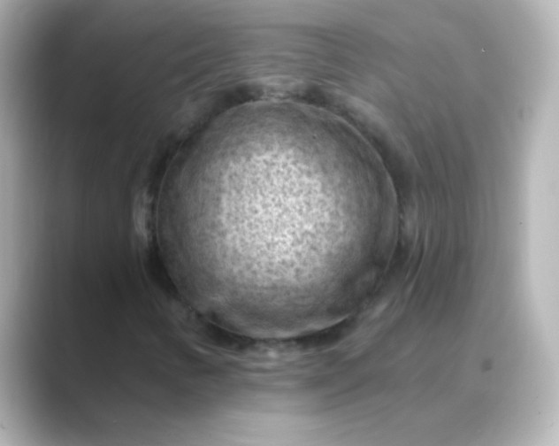 X0000088831346200706211807