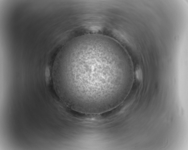 X0000088831347200706211807