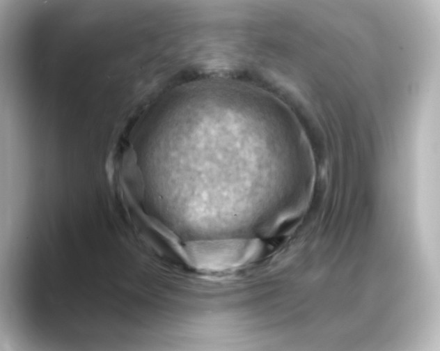 X0000088831348200706211807