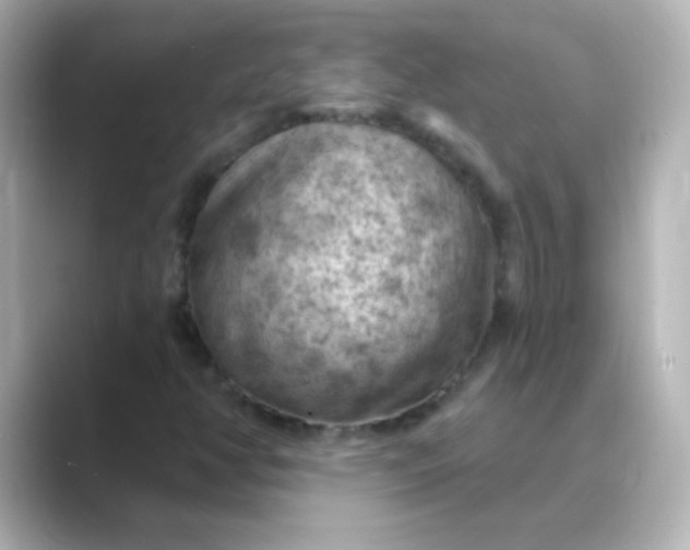 X0000088831350200706211807