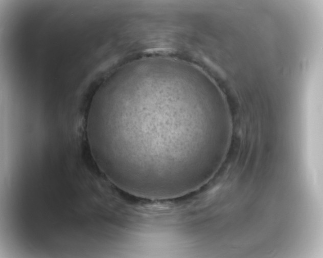 X0000088831351200706211807