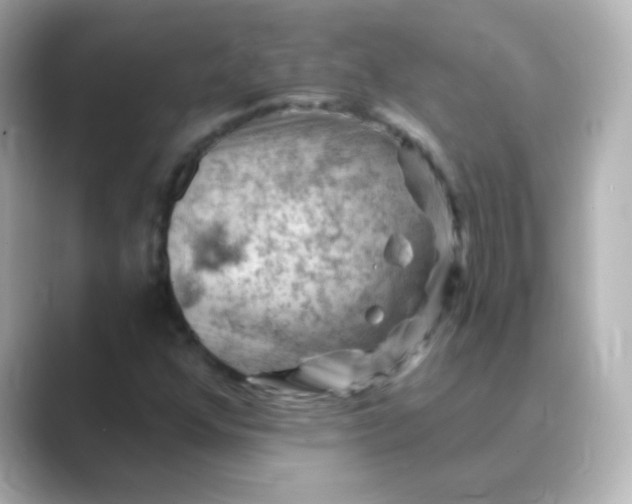 X0000088831352200706211807