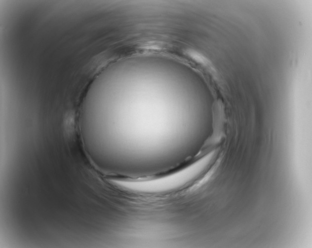 X0000088831353200706211807