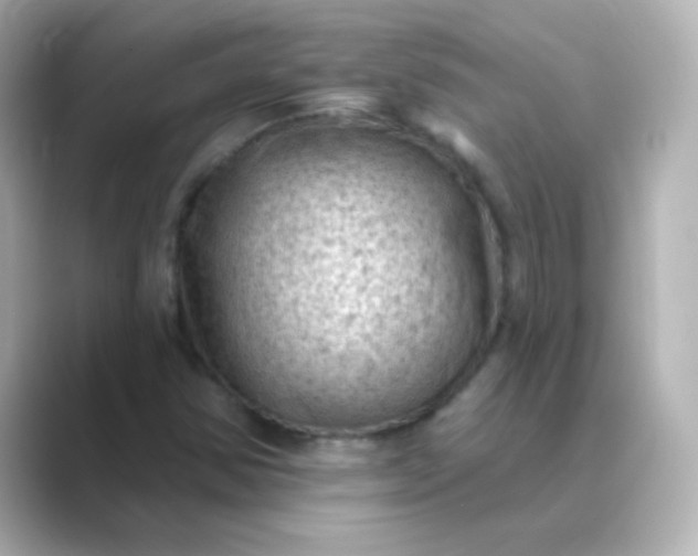 X0000088831354200706211807