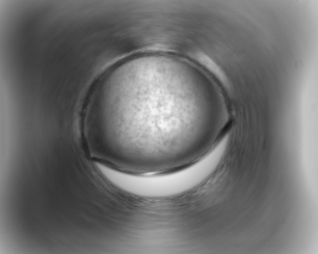 X0000088831356200706211807