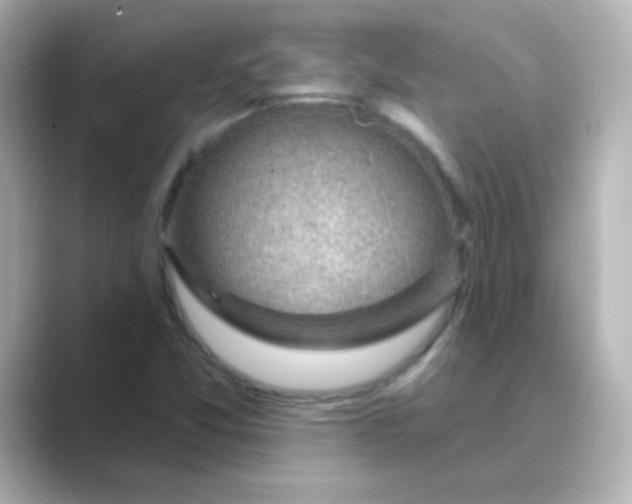 X0000088831357200706211807