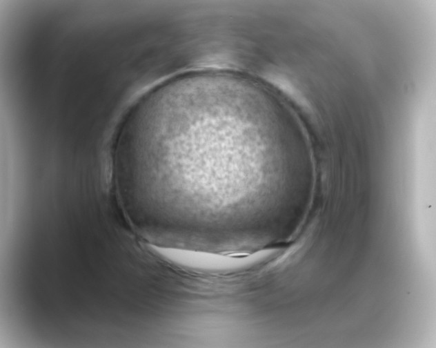 X0000088831358200706211807