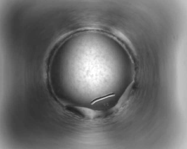 X0000088831360200706211807