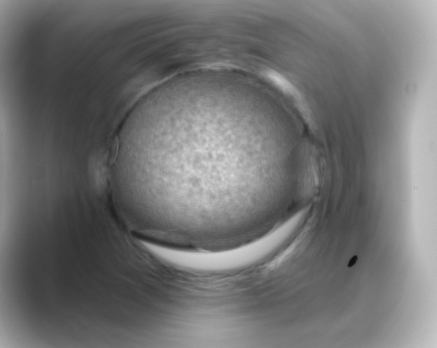 X0000088831361200706211807