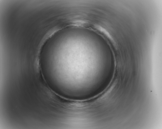 X0000088831362200706211807