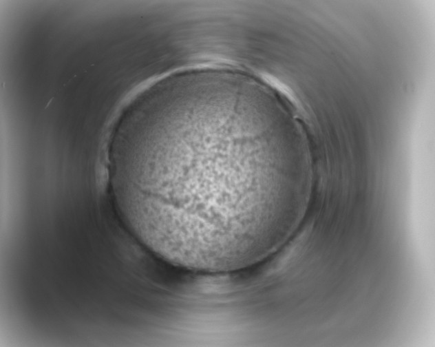 X0000088831363200706211807