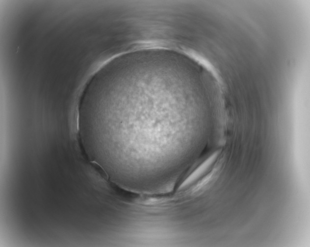 X0000088831365200706211807