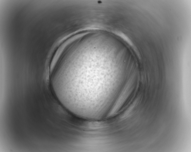 X0000088831366200706211807