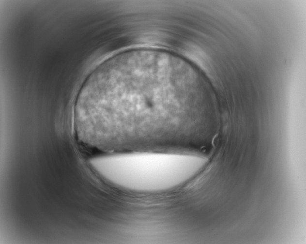 X0000088831371200706211807