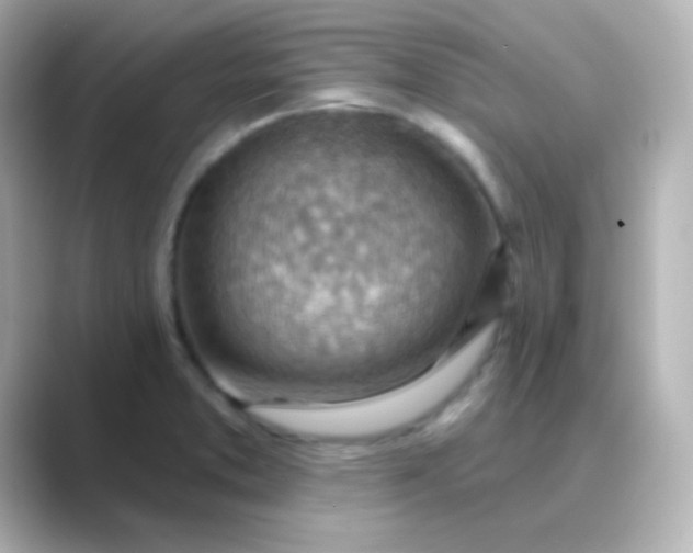 X0000088831373200706211807