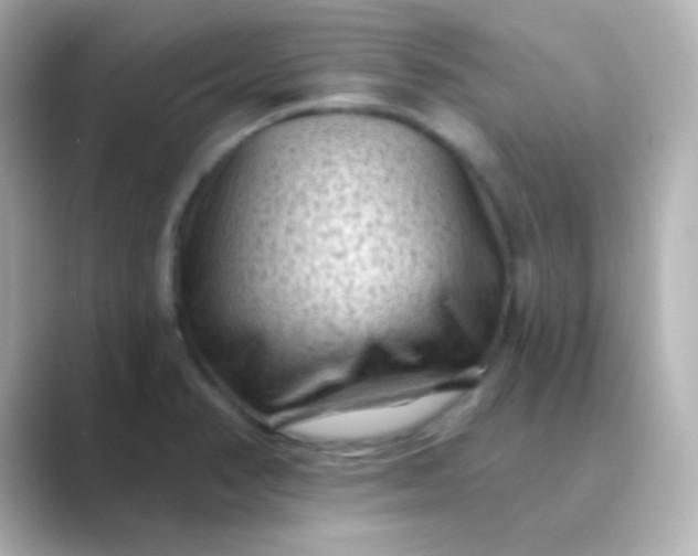 X0000088831374200706211807