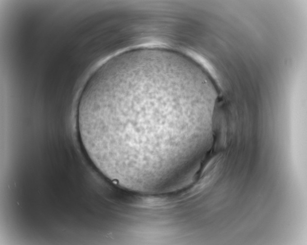 X0000088831375200706211807