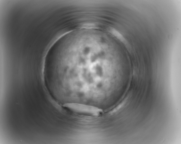 X0000088831378200706211807