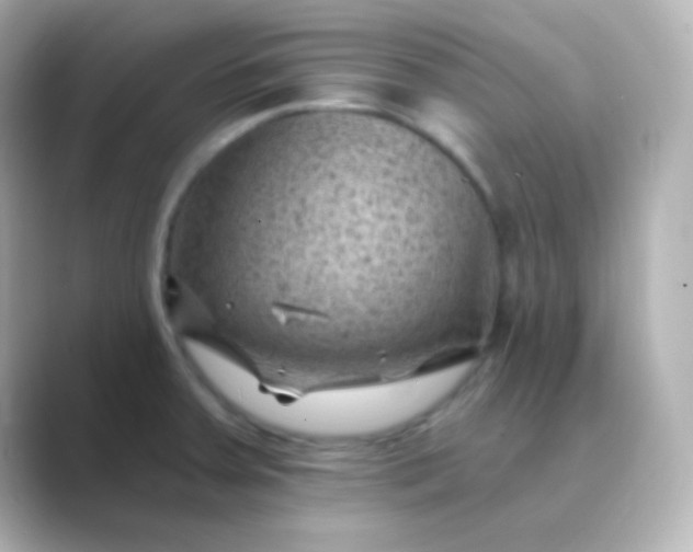 X0000088831379200706211807