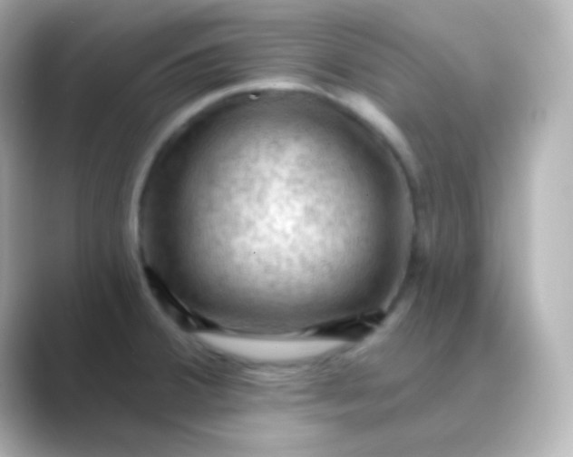 X0000088831380200706211807