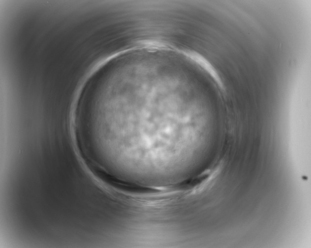 X0000088831381200706211807