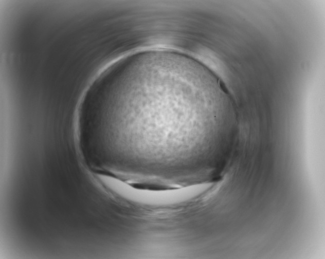 X0000088831382200706211807