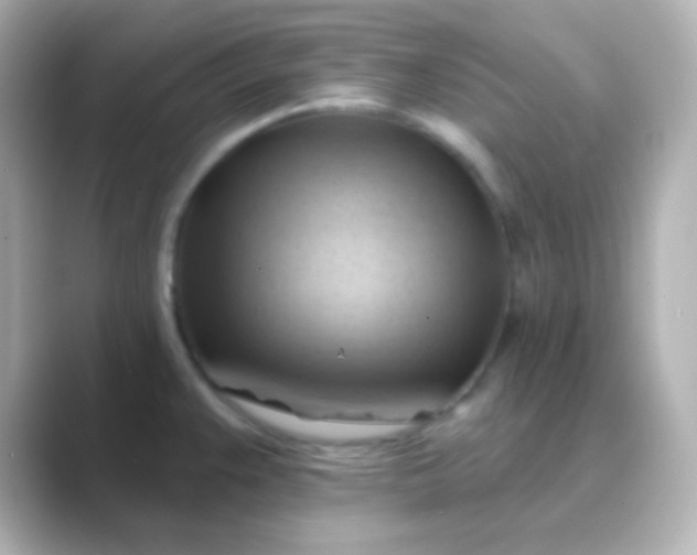 X0000088831383200706211807