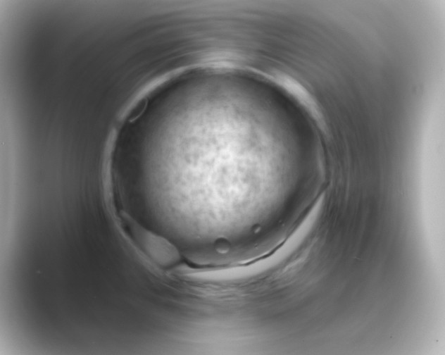 X0000088831384200706211807