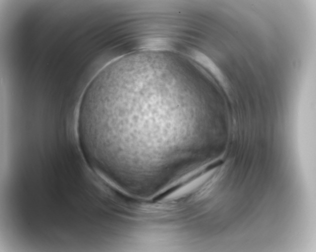 X0000088831386200706211807