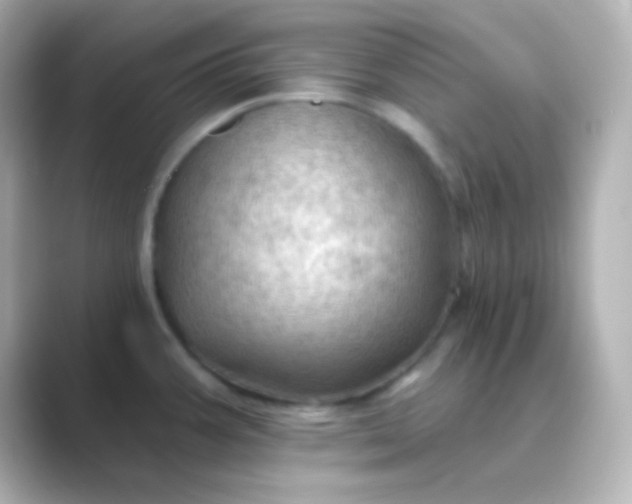 X0000088831387200706211807