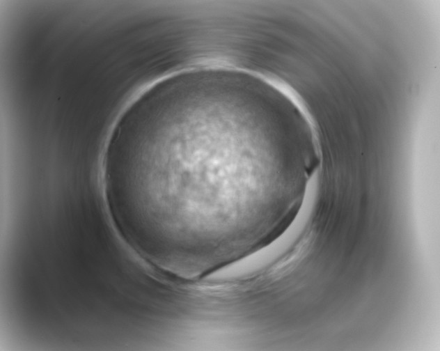 X0000088831389200706211807