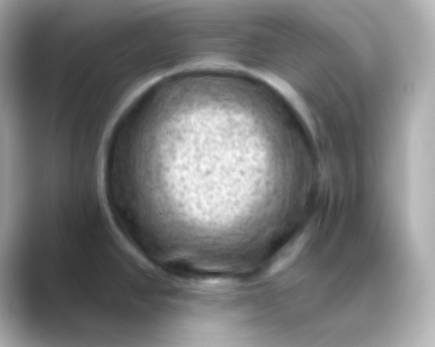 X0000088831390200706211807