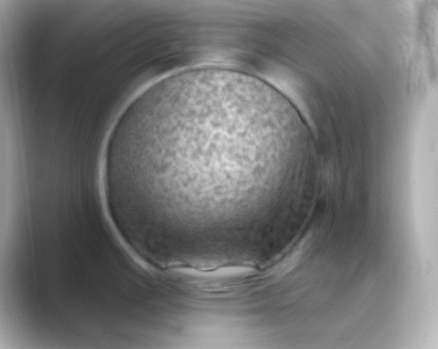 X0000088831391200706211807