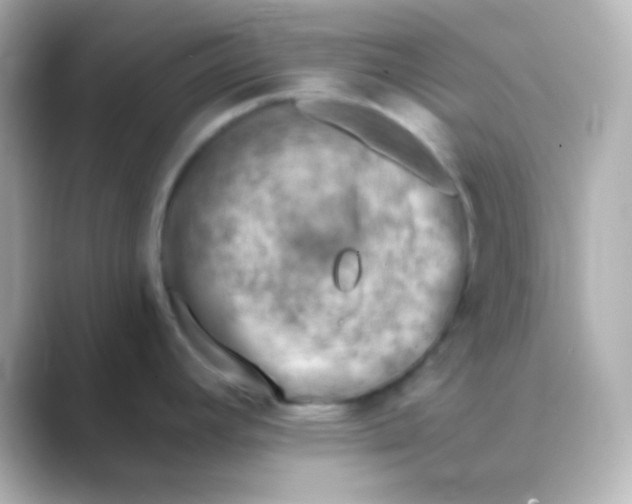 X0000088831392200706211807