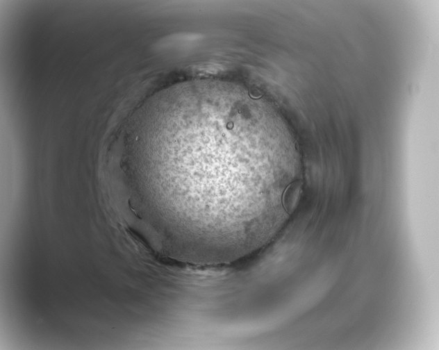 X0000088831393200706211806