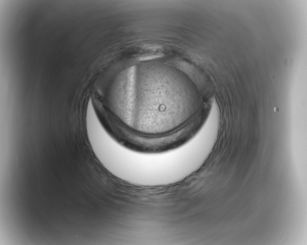 X0000088831394200706211806