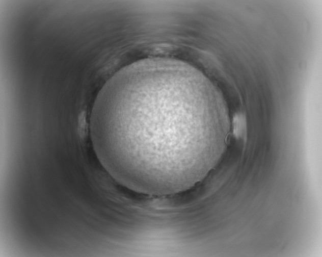 X0000088831395200706211806