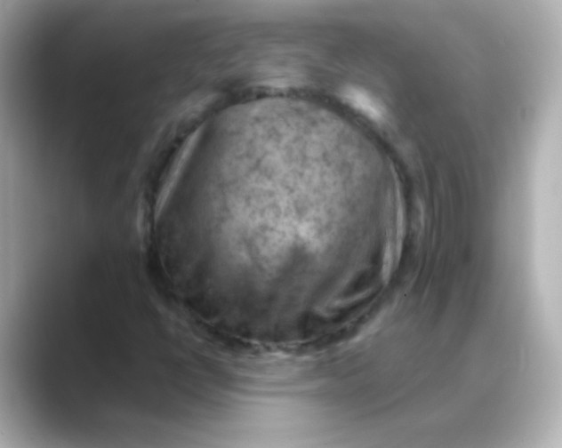 X0000088831398200706211806