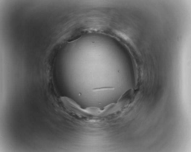 X0000088831399200706211806