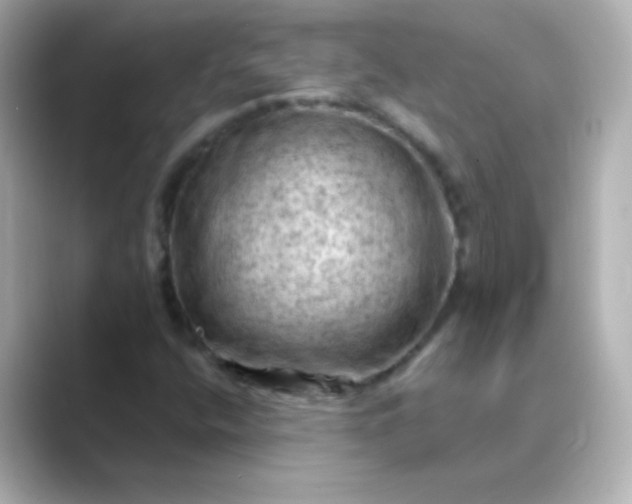 X0000088831400200706211806