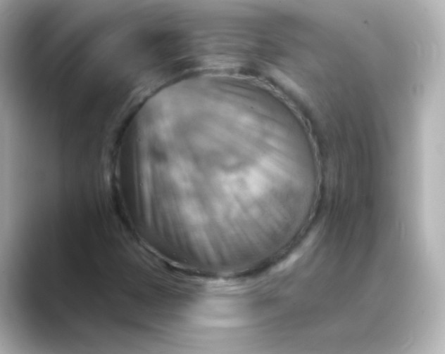 X0000088831401200706211806