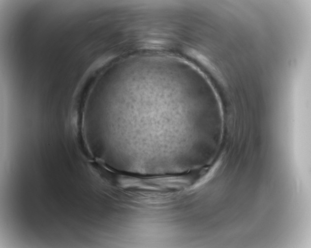 X0000088831402200706211806