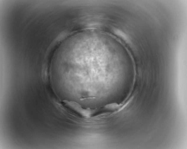 X0000088831403200706211806