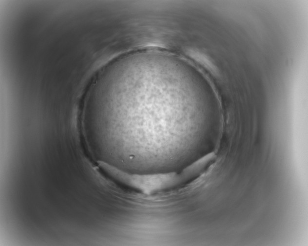 X0000088831404200706211806