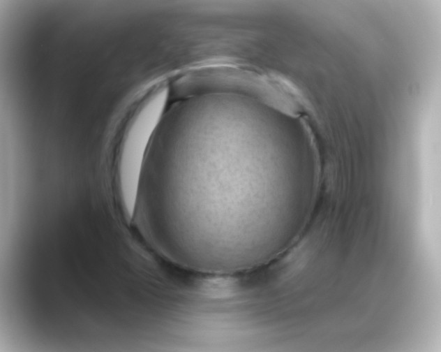 X0000088831406200706211806