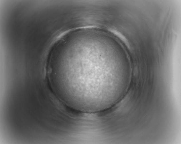 X0000088831407200706211806