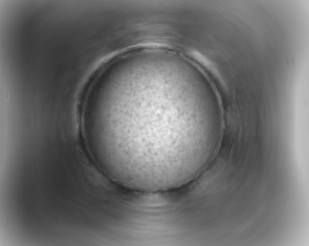 X0000088831408200706211806